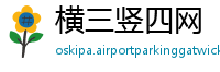 横三竖四网